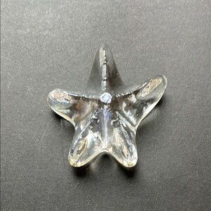 Clear Glass Starfish Paperweight